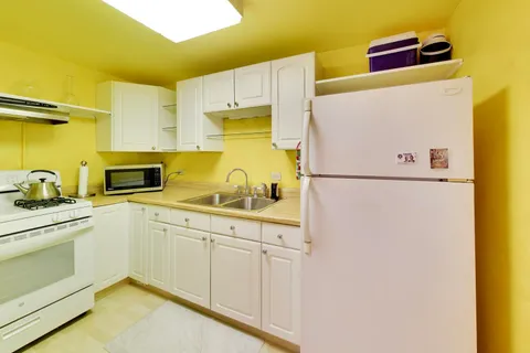 $160,000 | 253 East Delaware Place, Unit 12E, Chicago, IL 60611