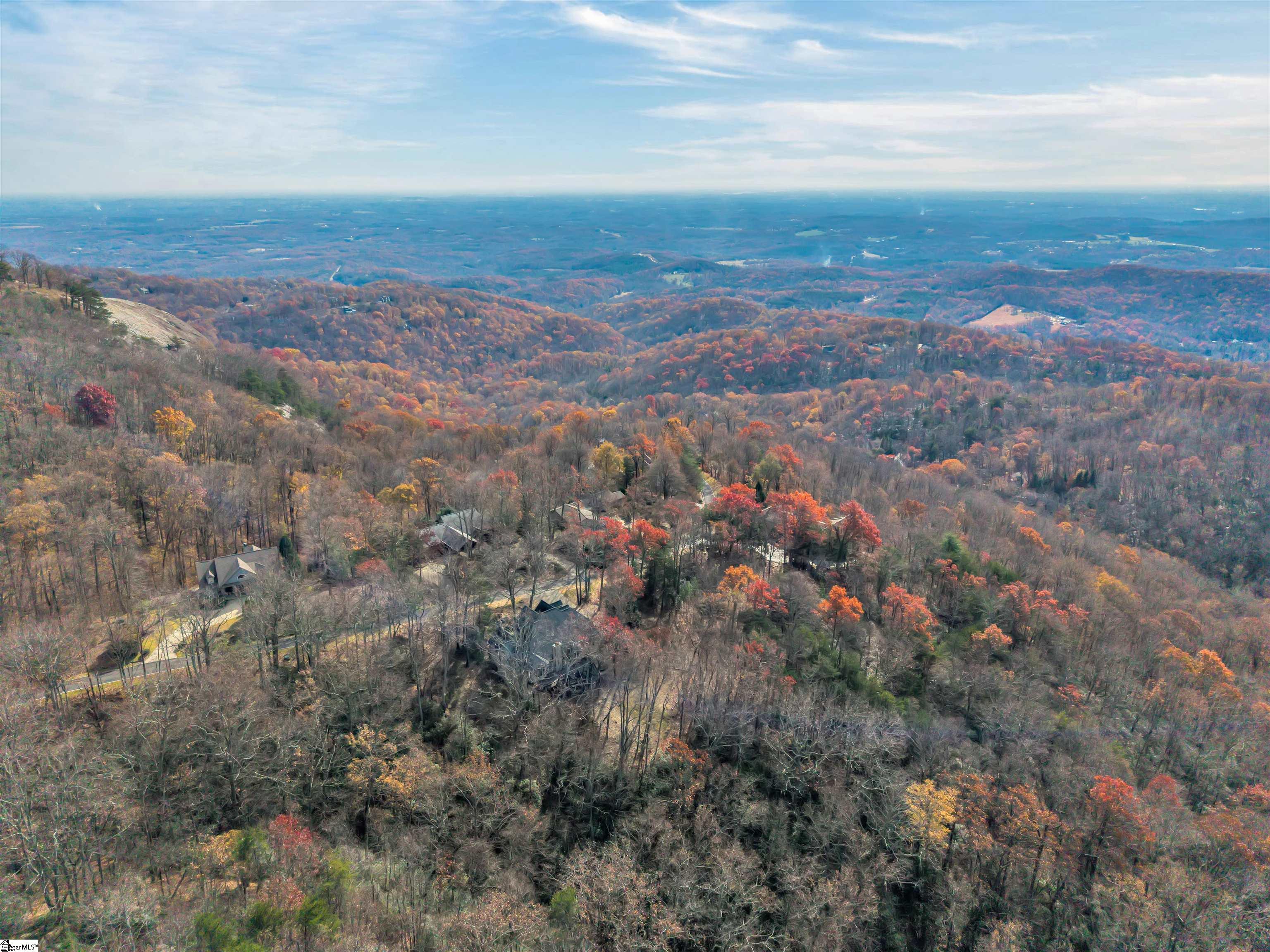 20 Moccasin-Flower Trail Landrum, SC 29356 - Photo 2 of 46