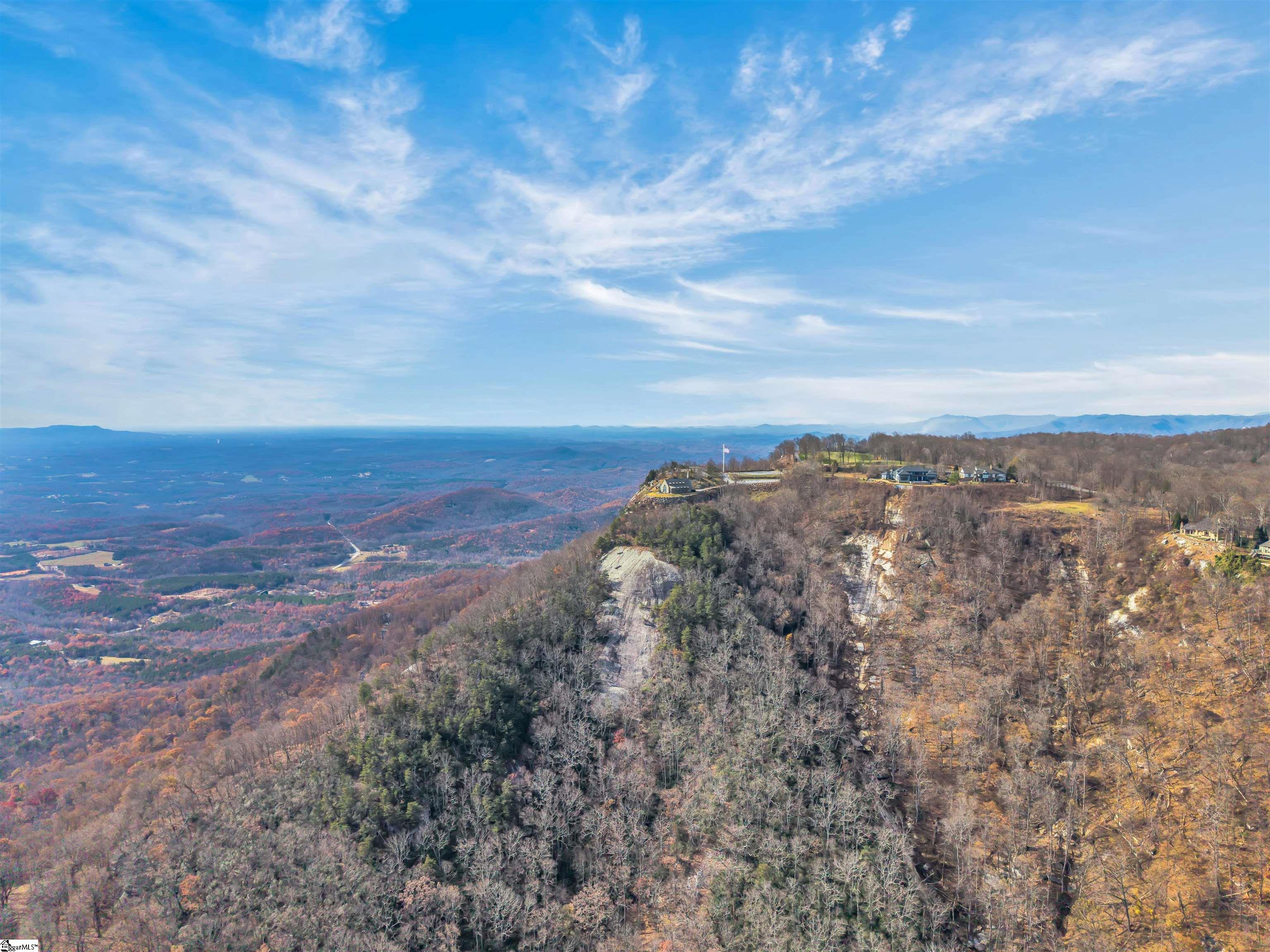 20 Moccasin-Flower Trail Landrum, SC 29356 - Photo 3 of 46