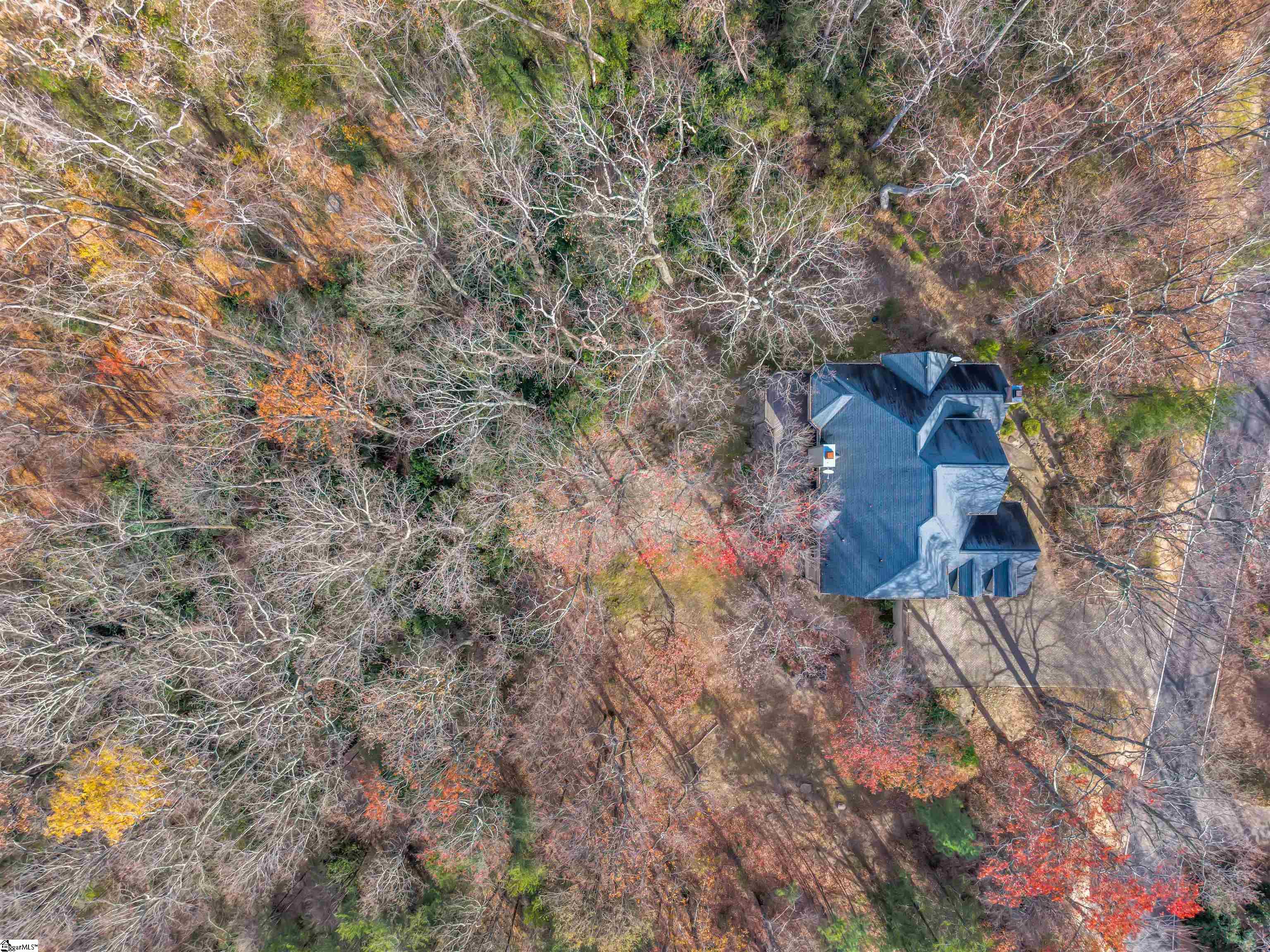 20 Moccasin-Flower Trail Landrum, SC 29356 - Photo 44 of 46