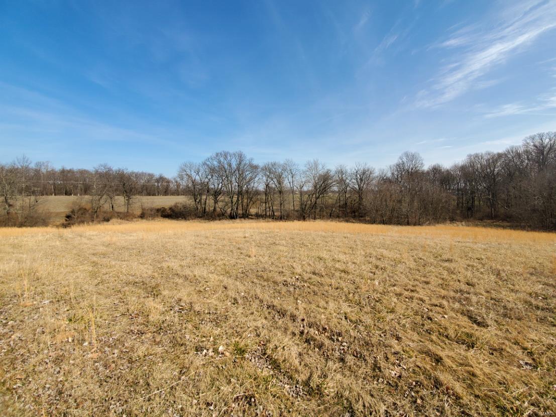 39 Racking Horse Lane Murphysboro, IL 62966 - Photo 8 of 12 Gallery Image 8
