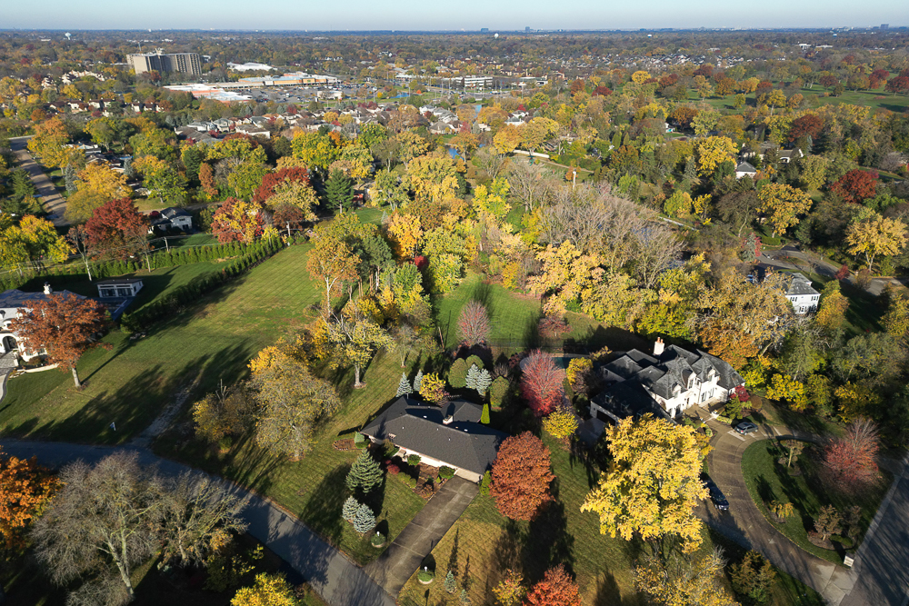 520 Ridgemoor Drive Willowbrook, IL 60527 - Photo 4 of 5