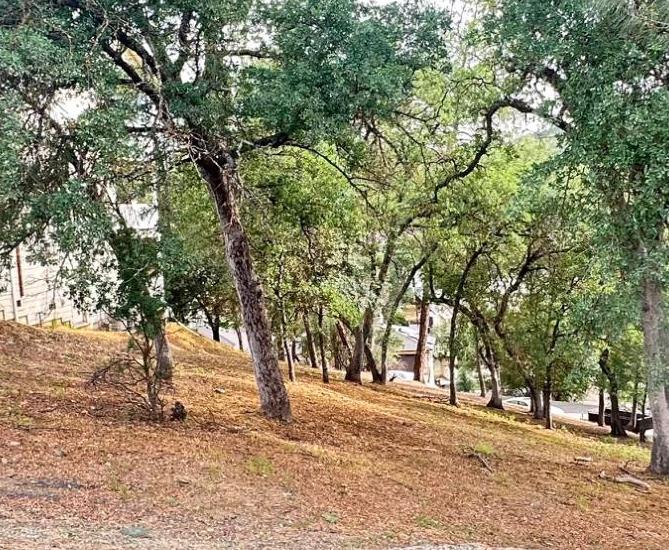 a view of road with trees