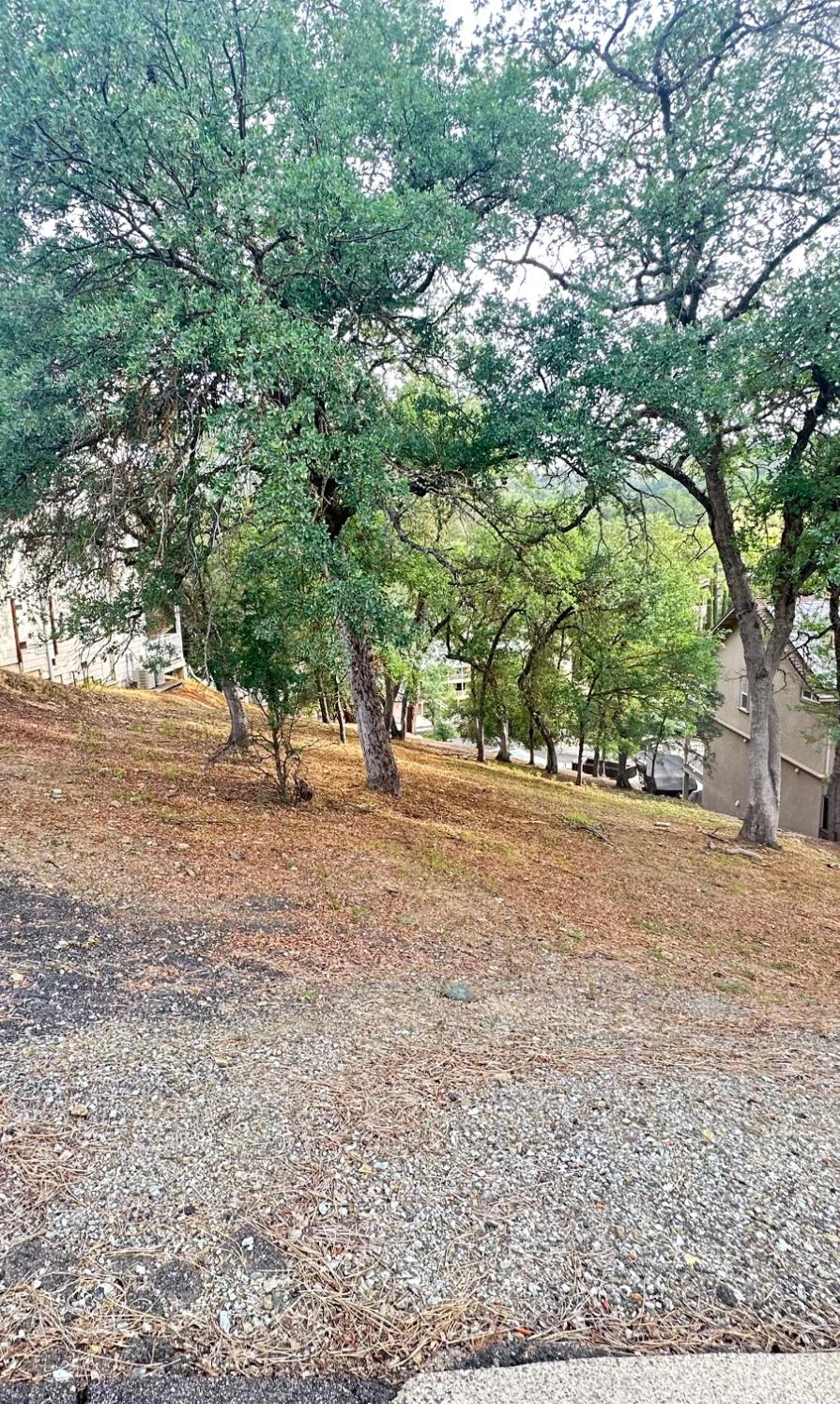 423 Winchester Way Copperopolis, CA 95228 - Photo 3 of 5 a view of outdoor space and yard