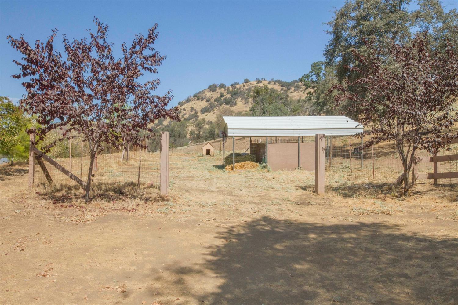 45748 Longview Road Squaw Valley, CA 93675 - Photo 46 of 67 Gallery Image 46