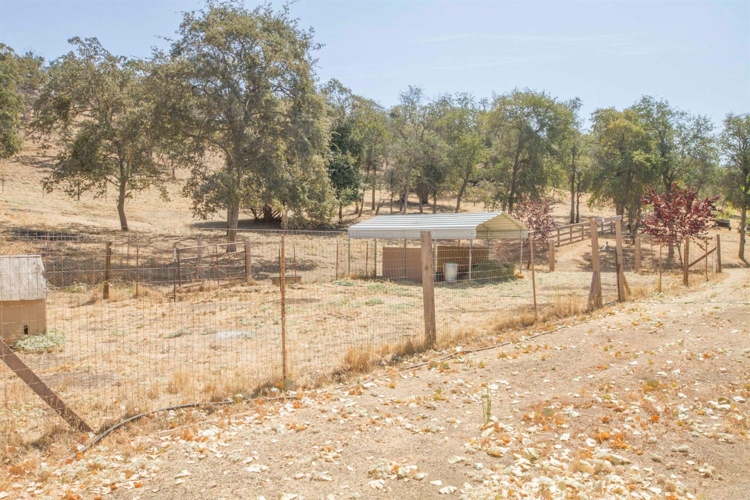 45748 Longview Road Squaw Valley, CA 93675 - Photo 47 of 67 Gallery Image 47