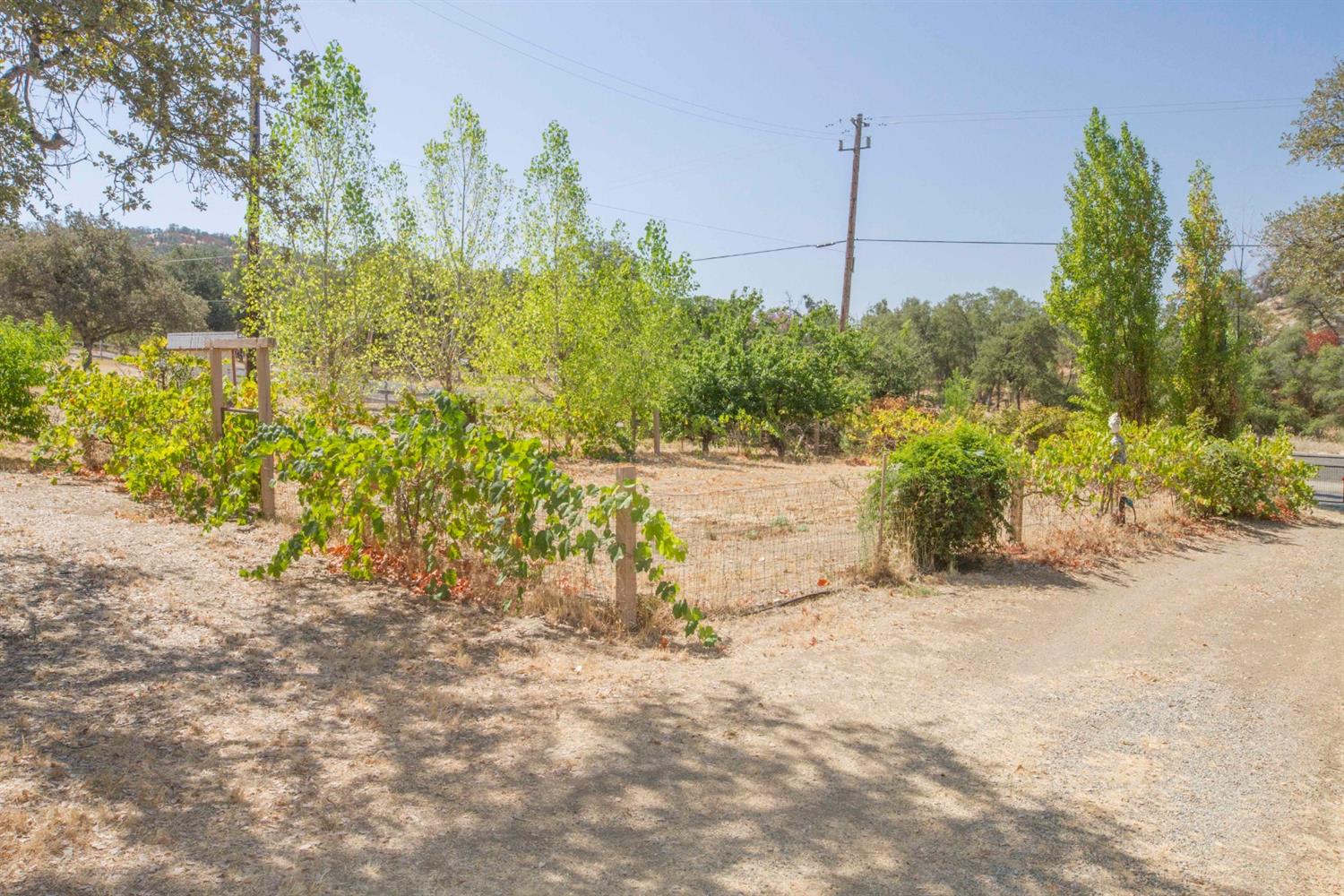 45748 Longview Road Squaw Valley, CA 93675 - Photo 50 of 67 Gallery Image 50