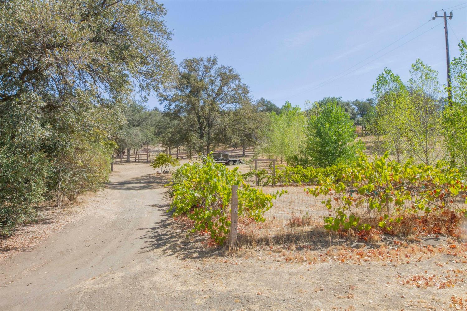 45748 Longview Road Squaw Valley, CA 93675 - Photo 57 of 67 Gallery Image 57