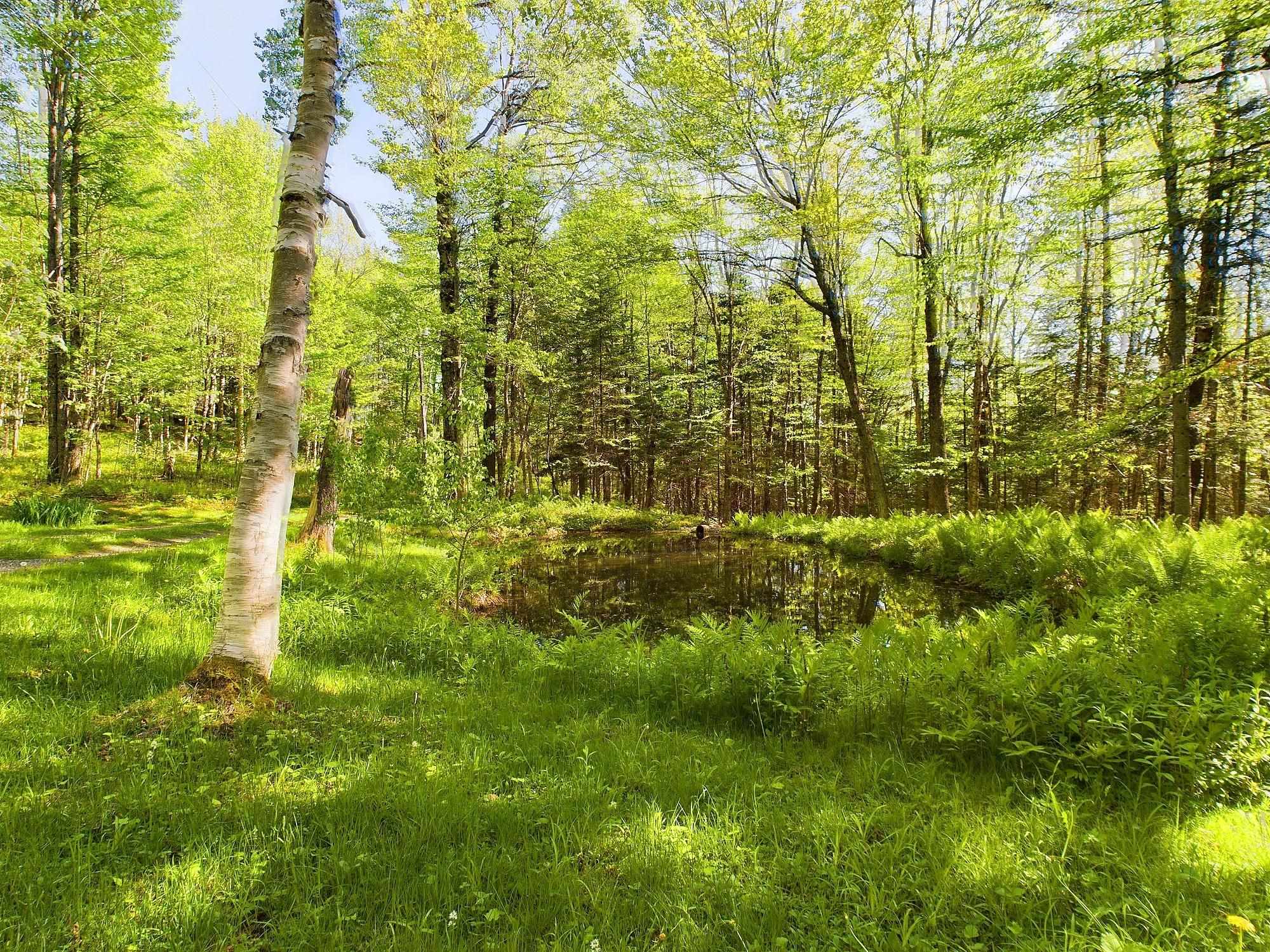 70 Burns Road Pittsburg, NH 03592 - Photo 20 of 35