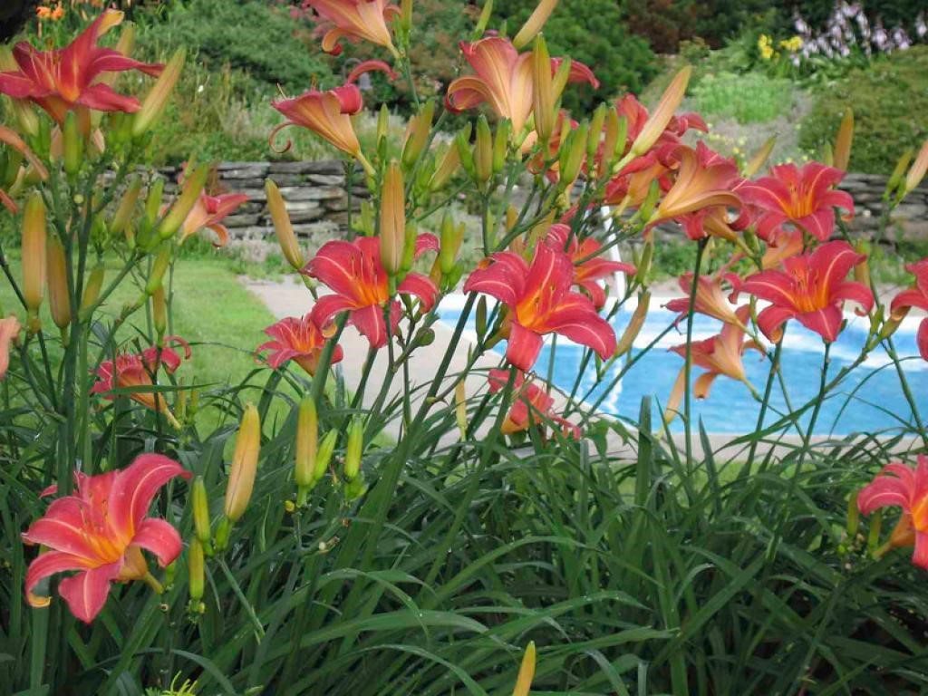 1619 Fuller Bridge Road Montgomery, VT 05476 - Photo 8 of 31 Gallery Image 8