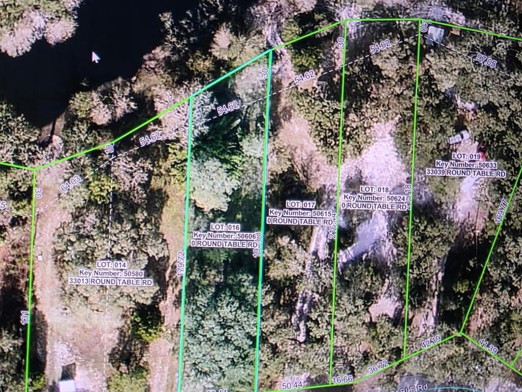 0 Round Table Road Dade City, FL 33523 - Photo 3 of 5