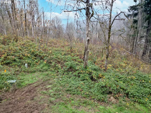 $140,000 | 11065 Winstanley, Lyons, OR 97358