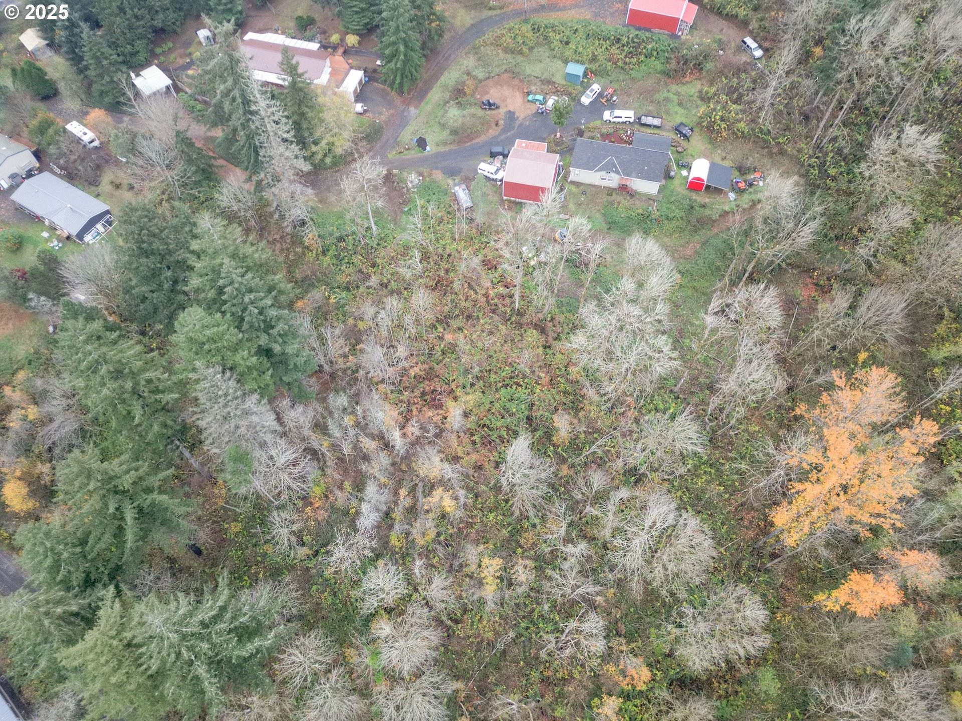 11065 Winstanley Lyons, OR 97358 - Photo 8 of 11 a view of a flower in a yard