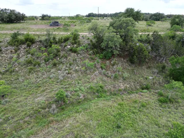 a view of a lush green forest with trees and some houses