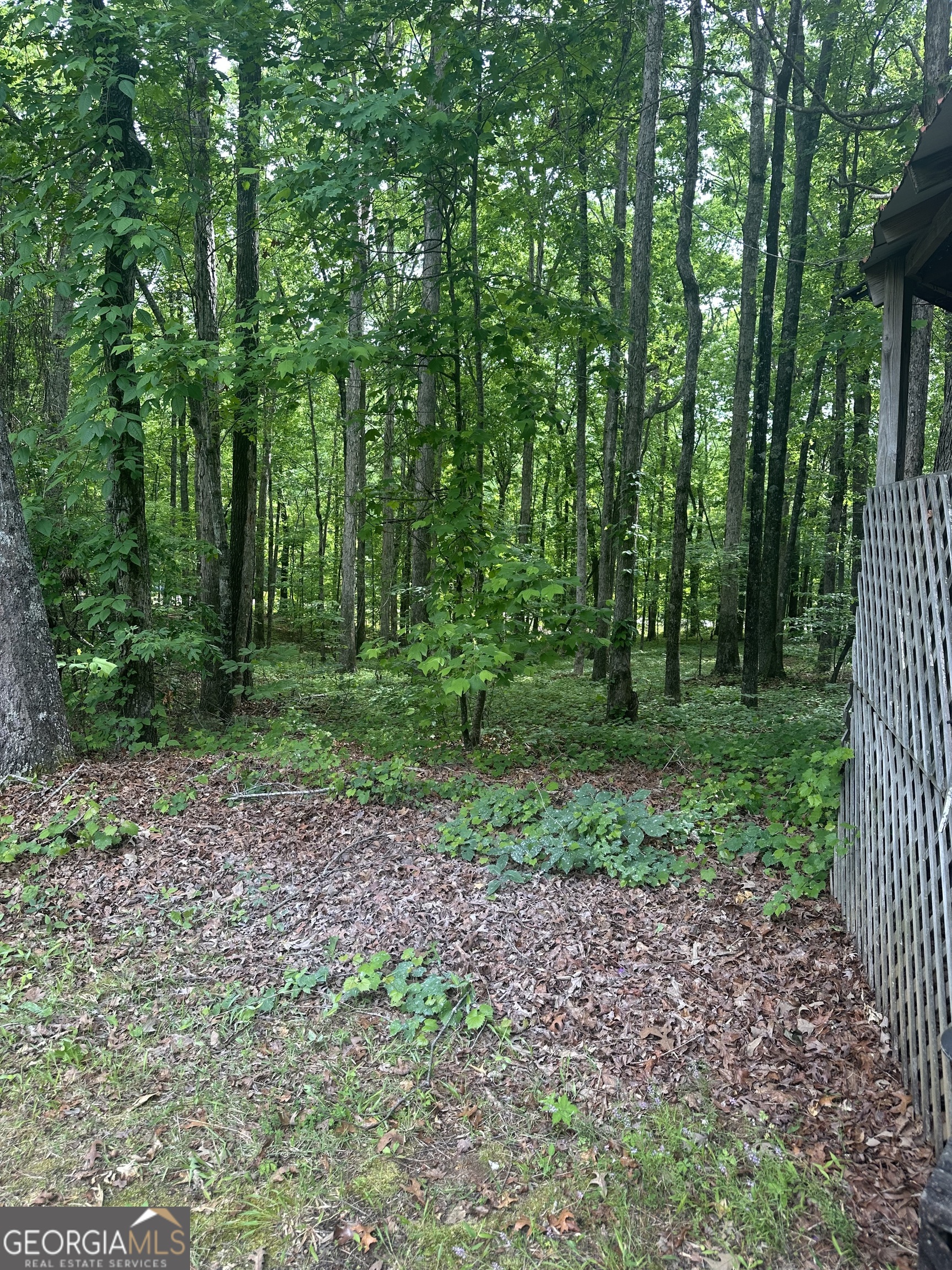 7500 Bevis Road Franklin, GA 30217 - Photo 29 of 31