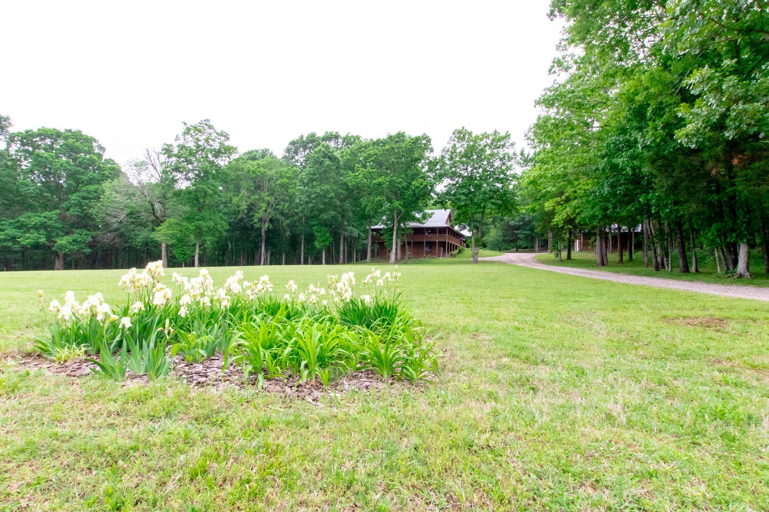 5359 Craddock Road Lascassas, TN 37085 - Photo 62 of 67 a view of a backyard with a small cabin
