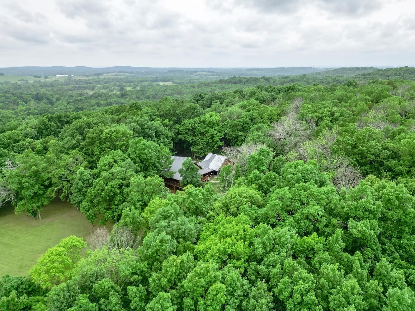 5359 Craddock Road Lascassas, TN 37085 - Photo 66 of 67 a view of a green field with lots of bushes
