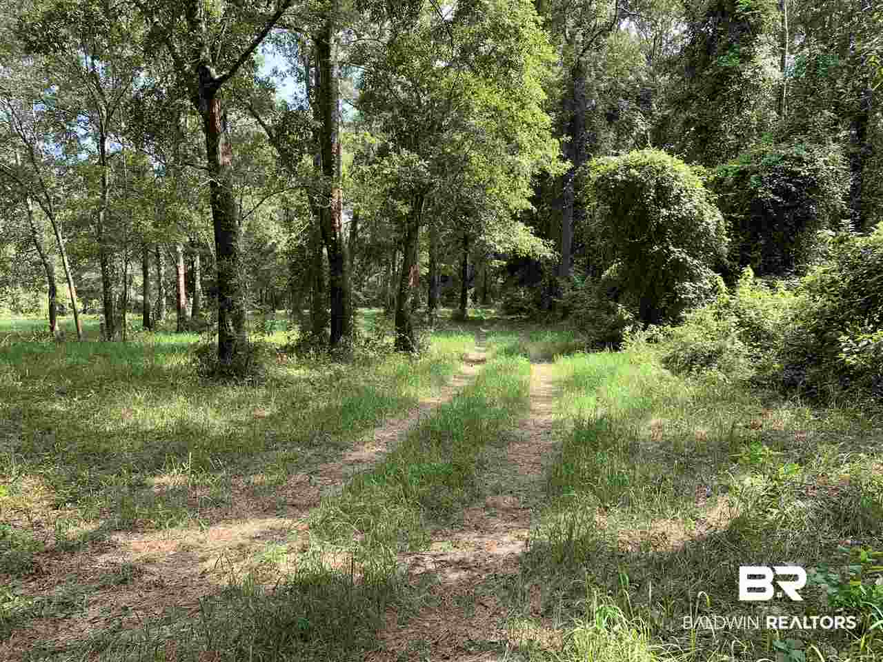 0 Frank Road Silverhill, AL 36576 - Photo 8 of 17