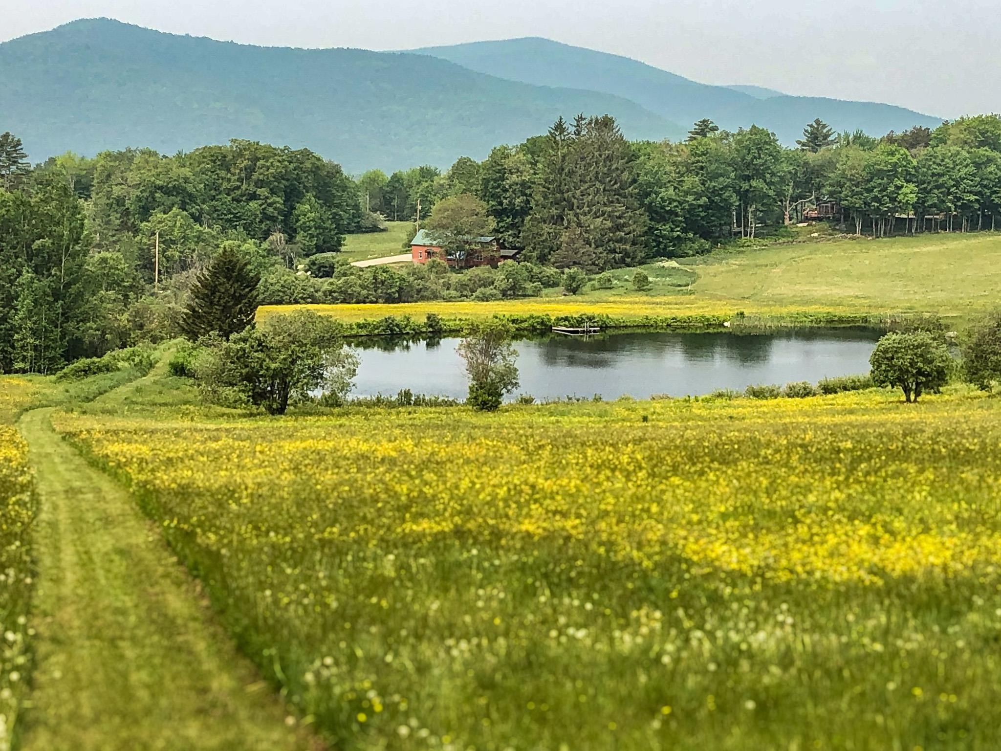 20 Edwins Pond Road Rochester, VT 05767 - Photo 36 of 39