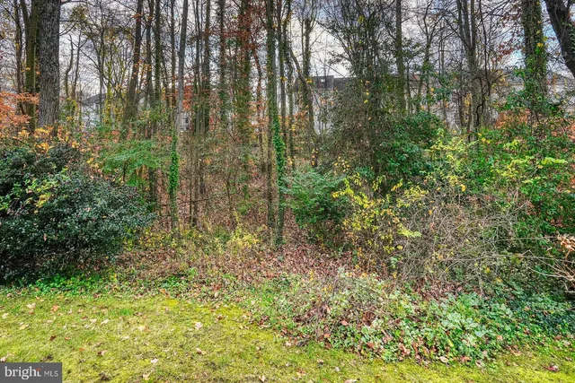 a view of a yard with plants and trees