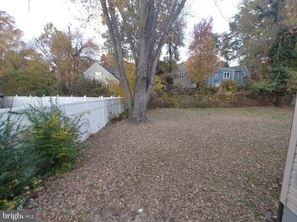 a view of a yard with trees