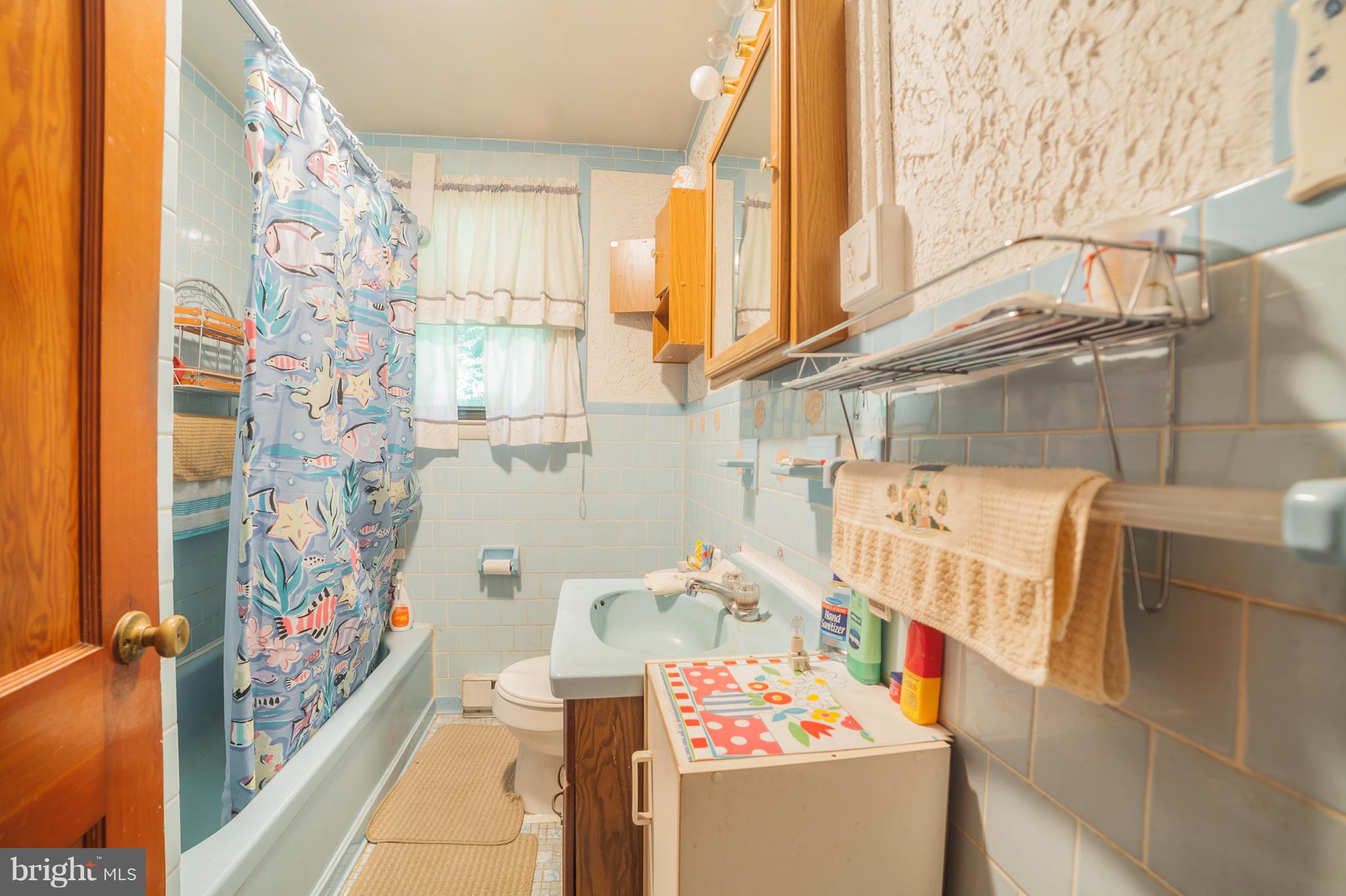 293 Cove Road Pasadena, MD 21122 - Photo 23 of 24 Bathroom