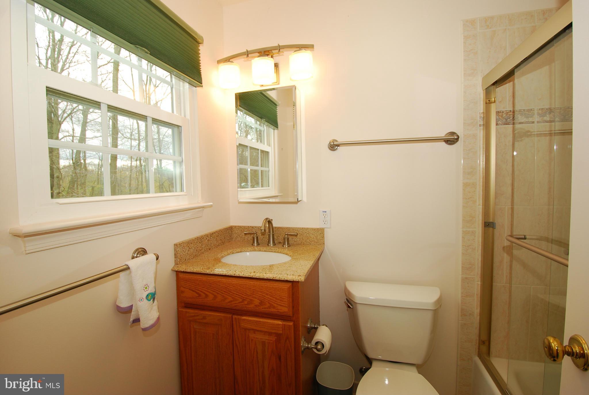 10140 Clearspring Road Damascus, MD 20872 - Photo 14 of 23 Bath (Master)