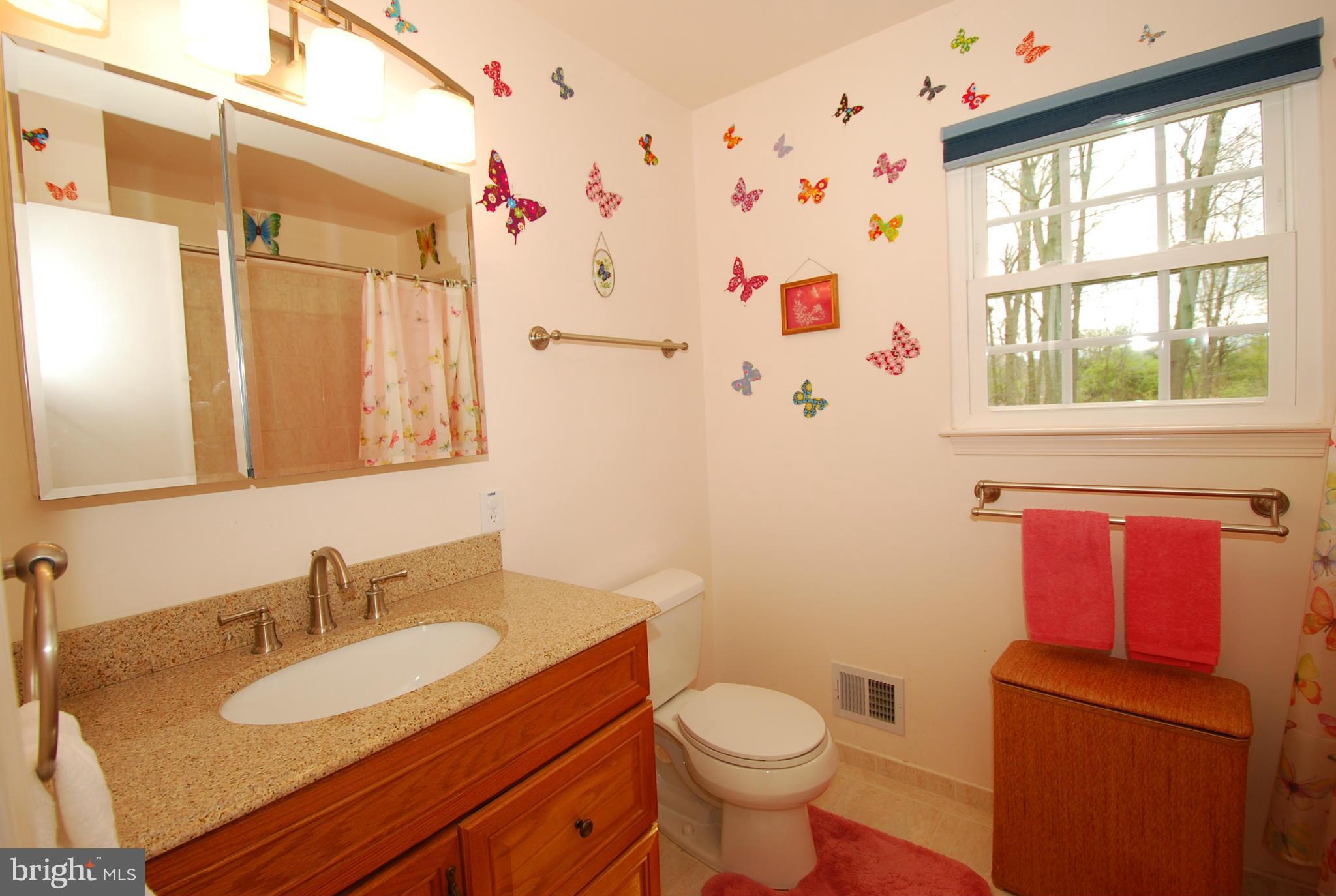 10140 Clearspring Road Damascus, MD 20872 - Photo 15 of 23 Bath