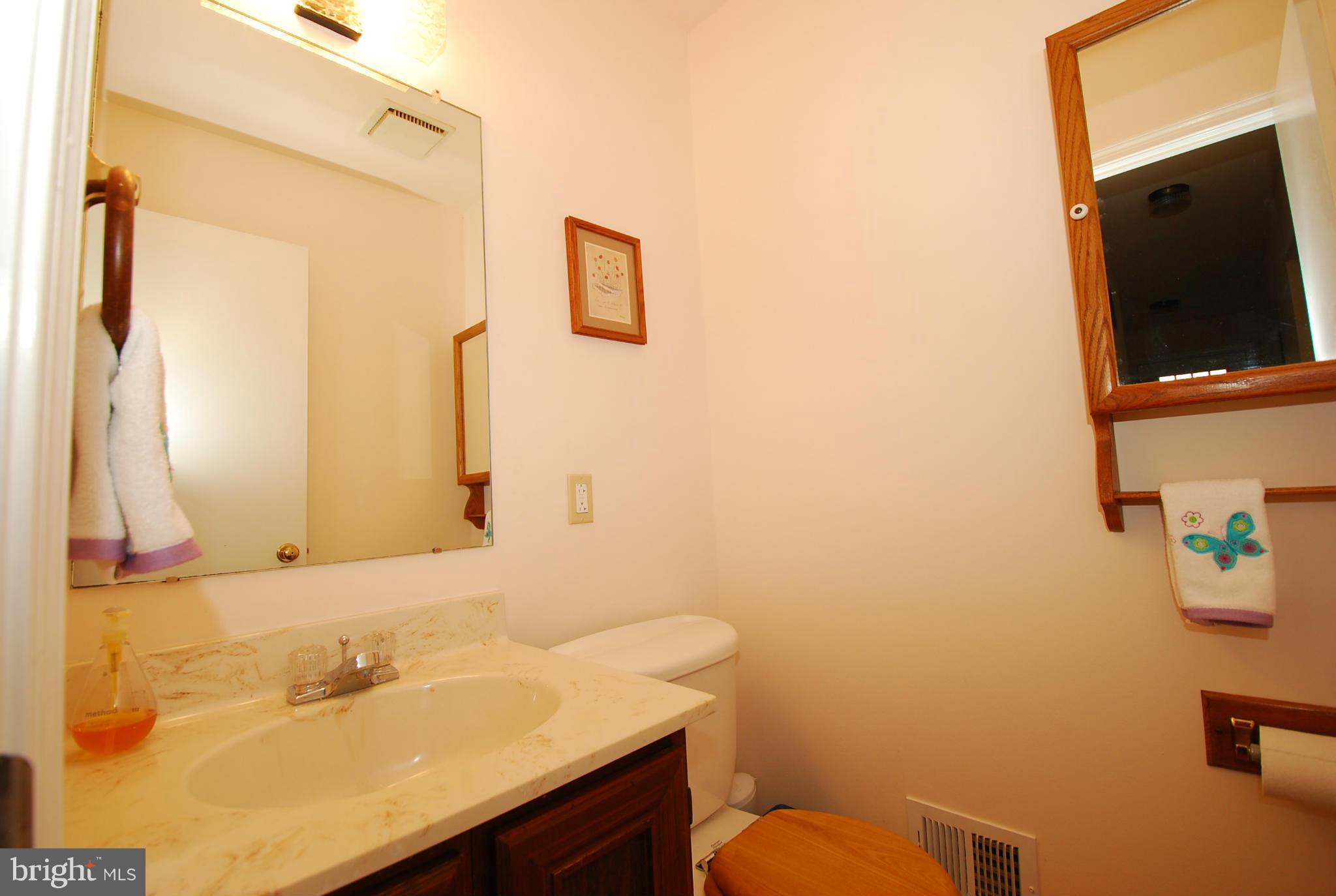 10140 Clearspring Road Damascus, MD 20872 - Photo 16 of 23 Bath