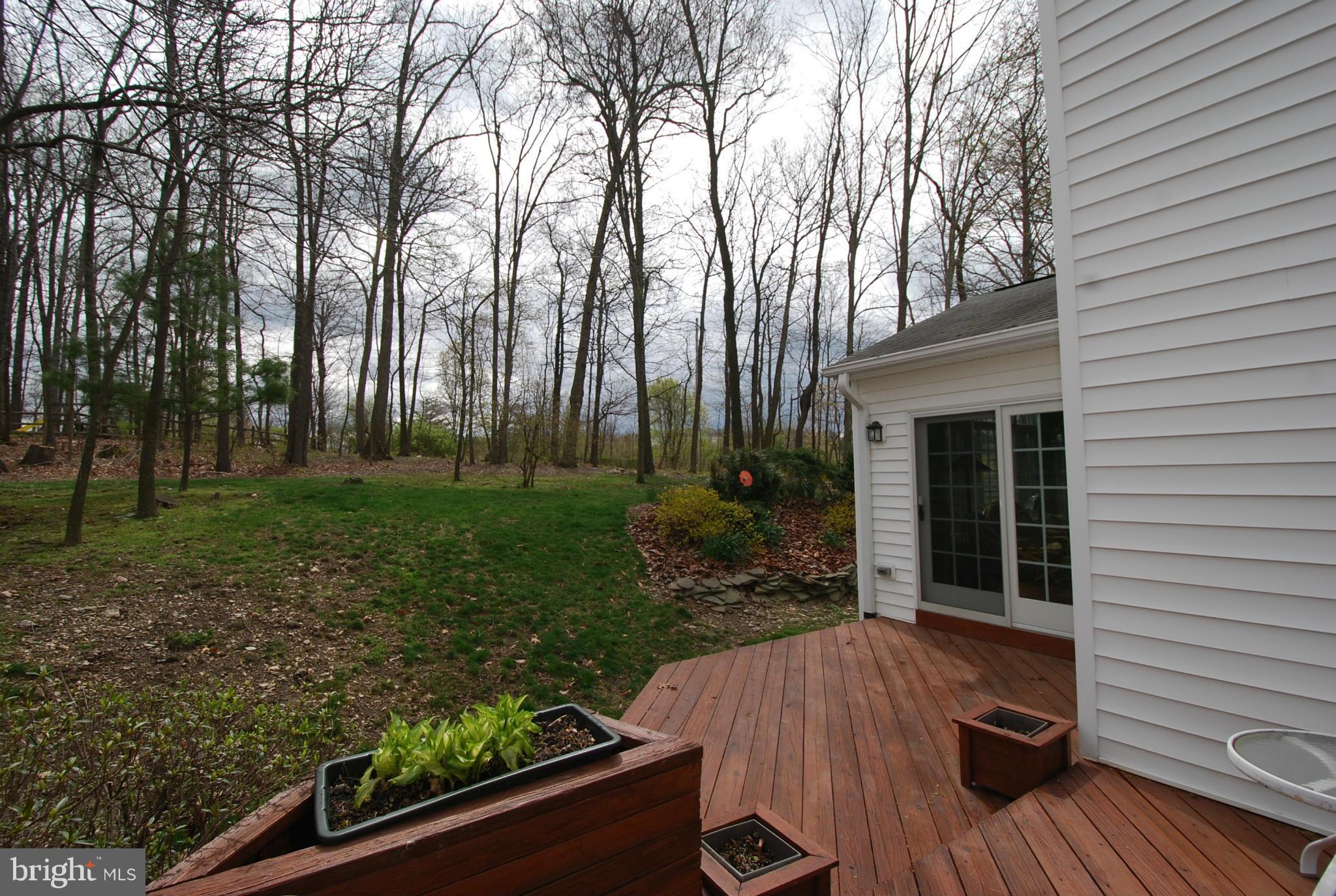 10140 Clearspring Road Damascus, MD 20872 - Photo 22 of 23 Exterior (Rear)