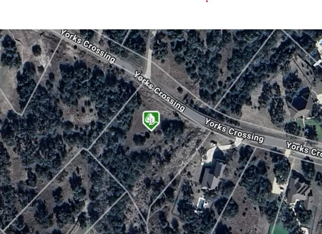 a picture of a plant