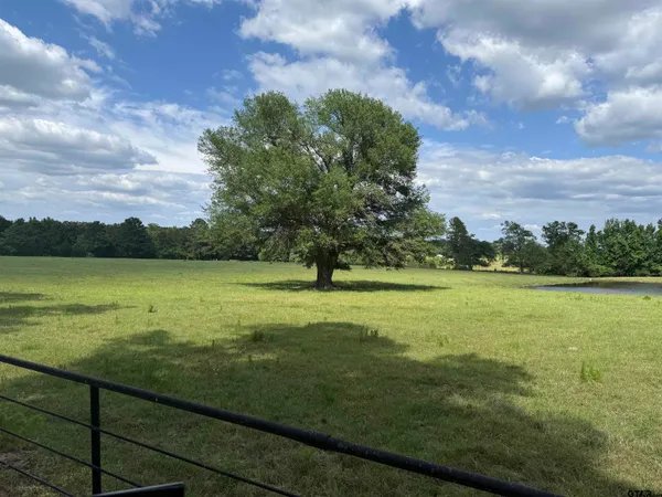 a view of a green yard with a lake view
