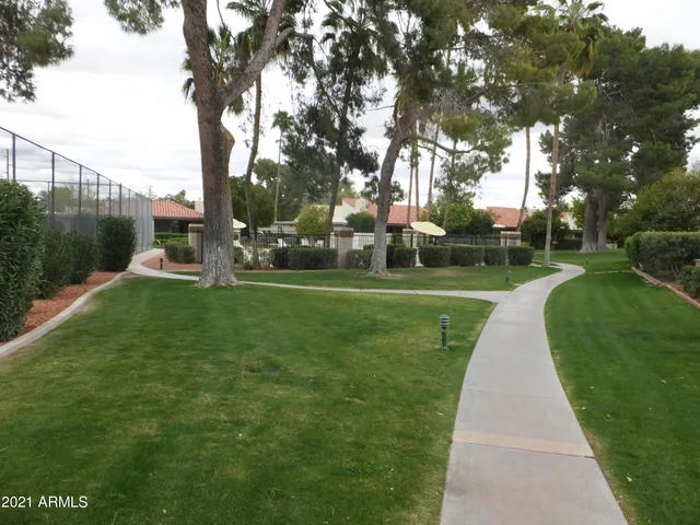 a view of a park with large trees