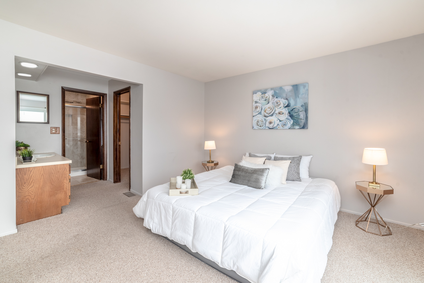 1206 West Hintz Road Arlington Heights, IL 60004 - Photo 20 of 30