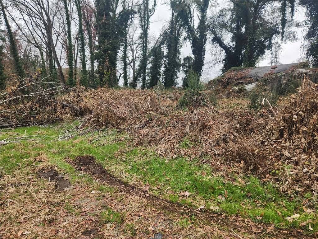 103 Jenkins Place Clemson, SC 29631 - Photo 3 of 7