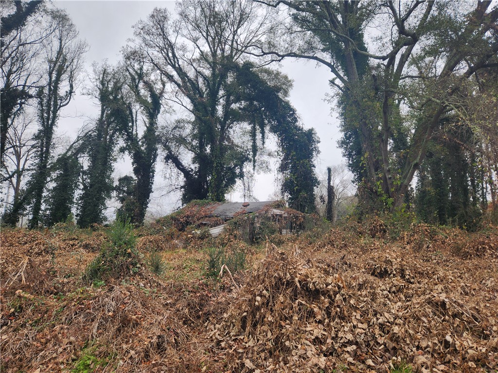 103 Jenkins Place Clemson, SC 29631 - Photo 4 of 7