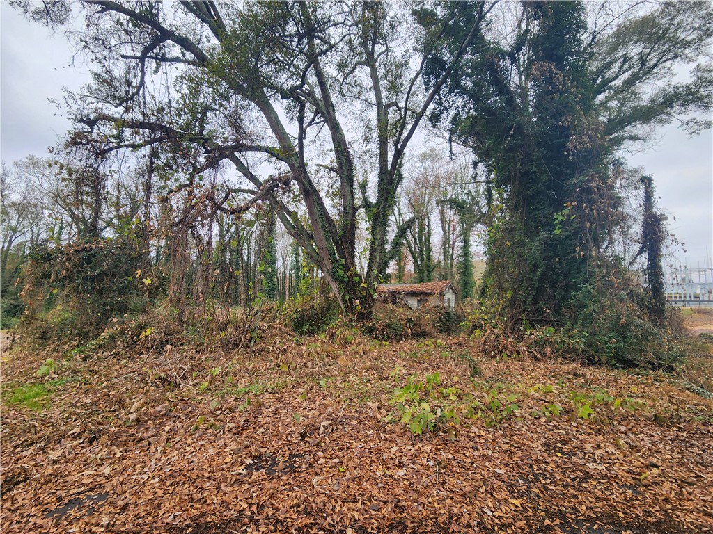 103 Jenkins Place Clemson, SC 29631 - Photo 7 of 7