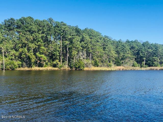 637 Bell Point Road Merritt, NC 28556 - Photo 8 of 9 From water looking at lot