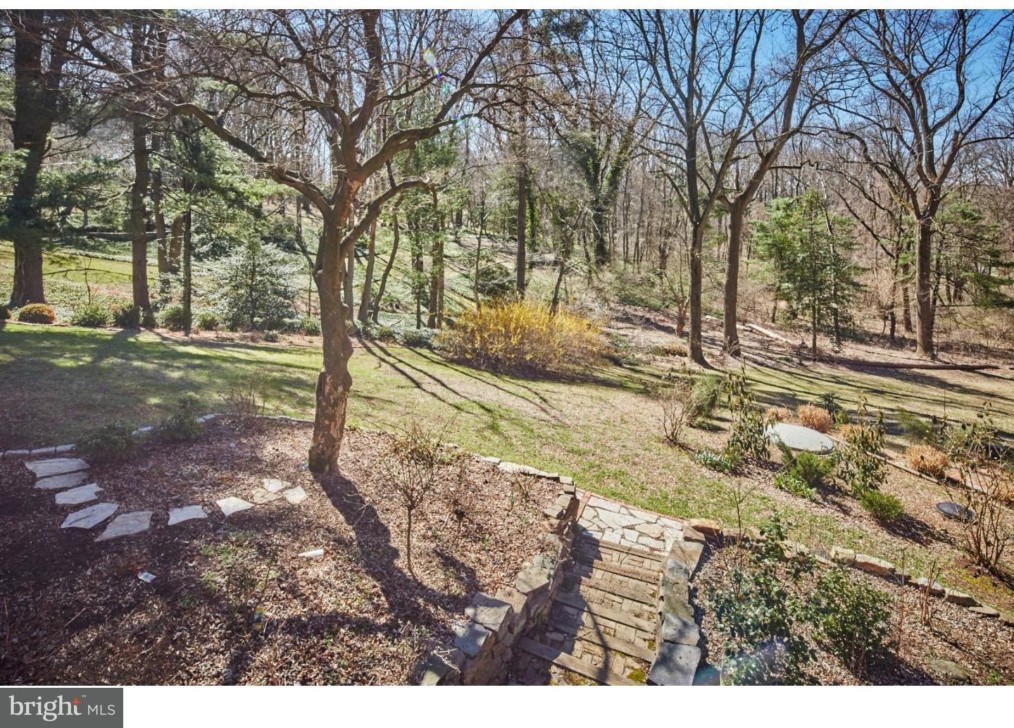205 North Spring Valley Road Wilmington, DE 19807 - Photo 23 of 25 Back Yard