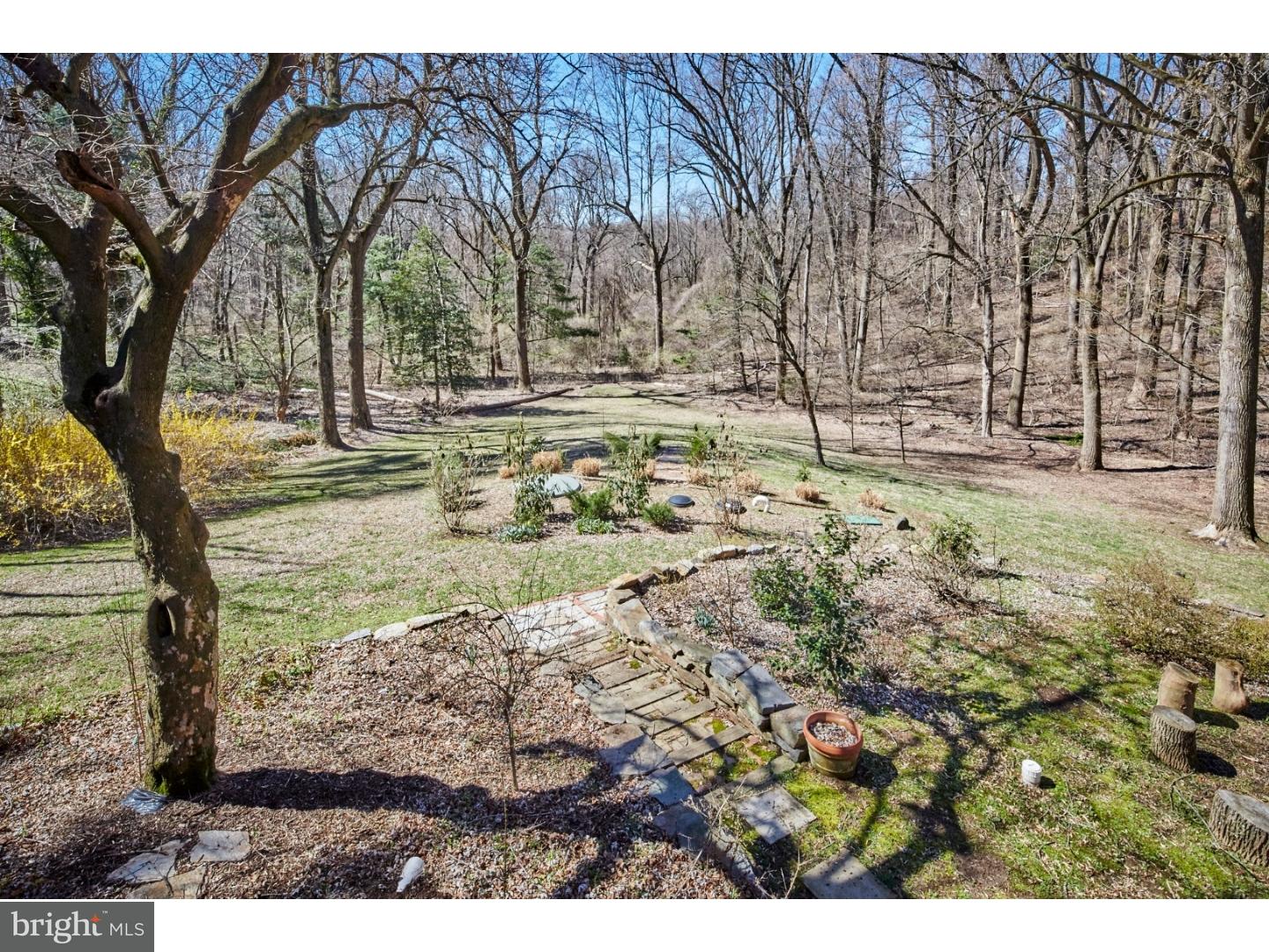 205 North Spring Valley Road Wilmington, DE 19807 - Photo 24 of 25 Back Yard