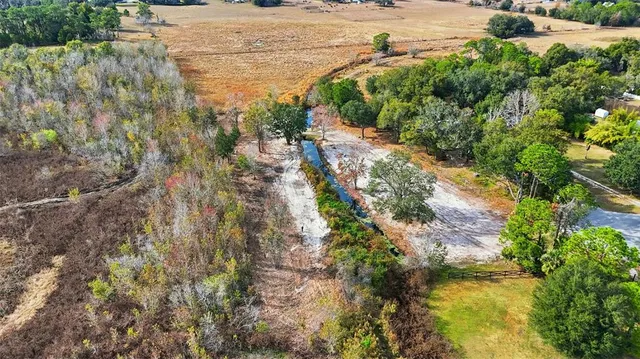 a view of a lake with beach and large trees