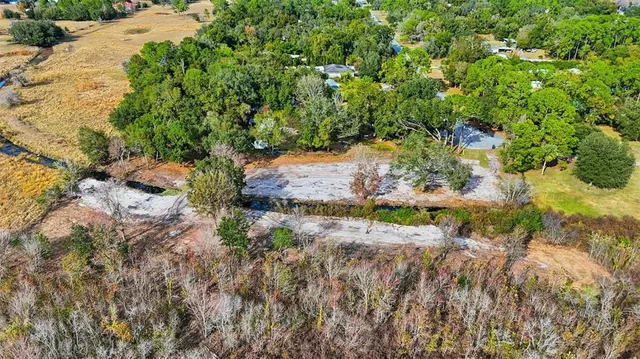 a view of a yard with plants and tree