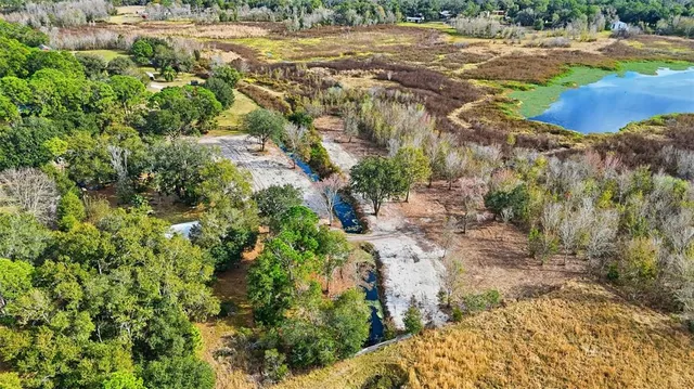 a plant that is in a garden