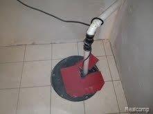 17040 Rudgate Street, Unit 109 Southgate, MI 48195 - Photo 14 of 16 Sump Pump.jpg