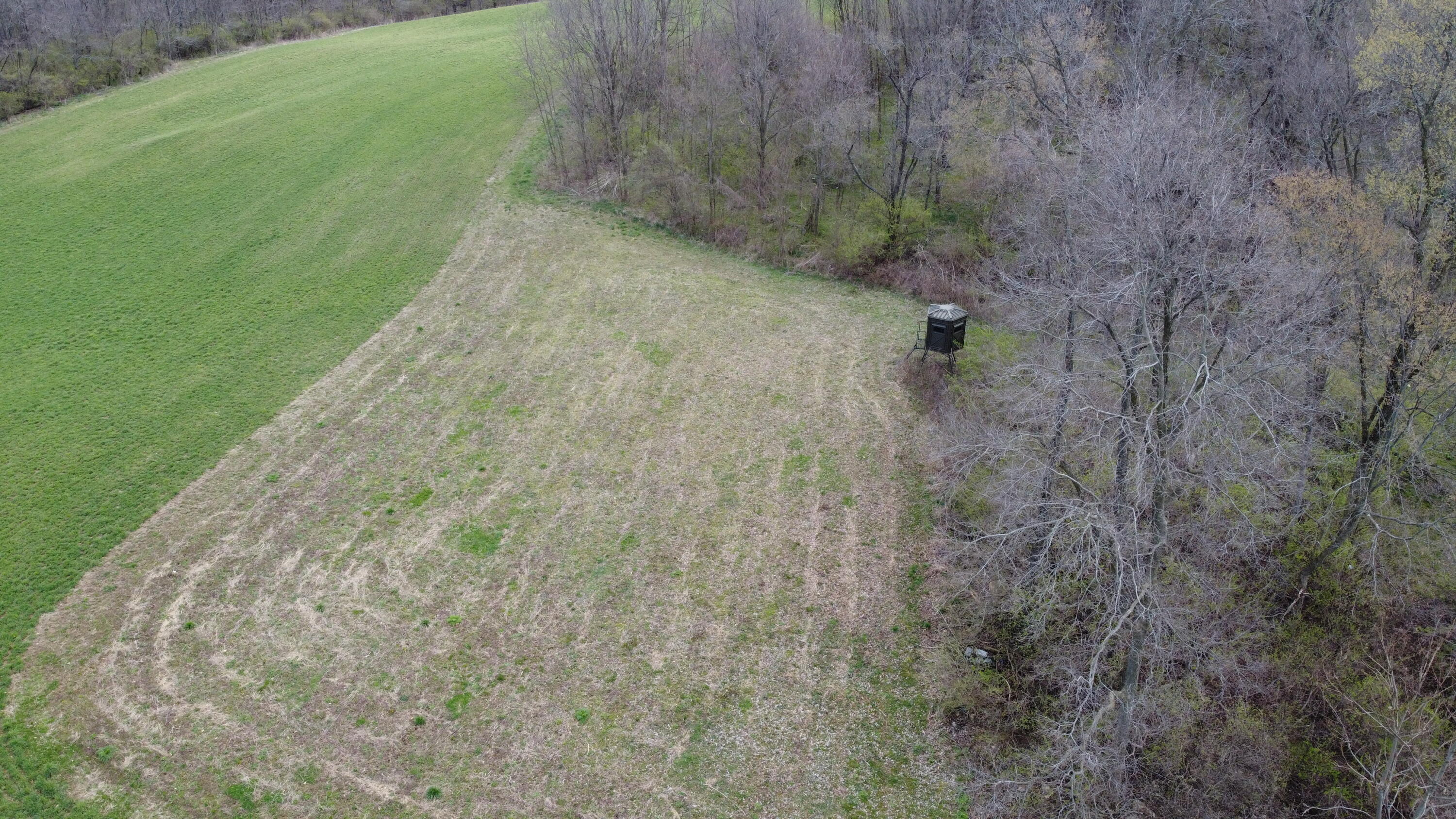 O Flatfoot Road Cable, OH 43009 - Photo 11 of 52