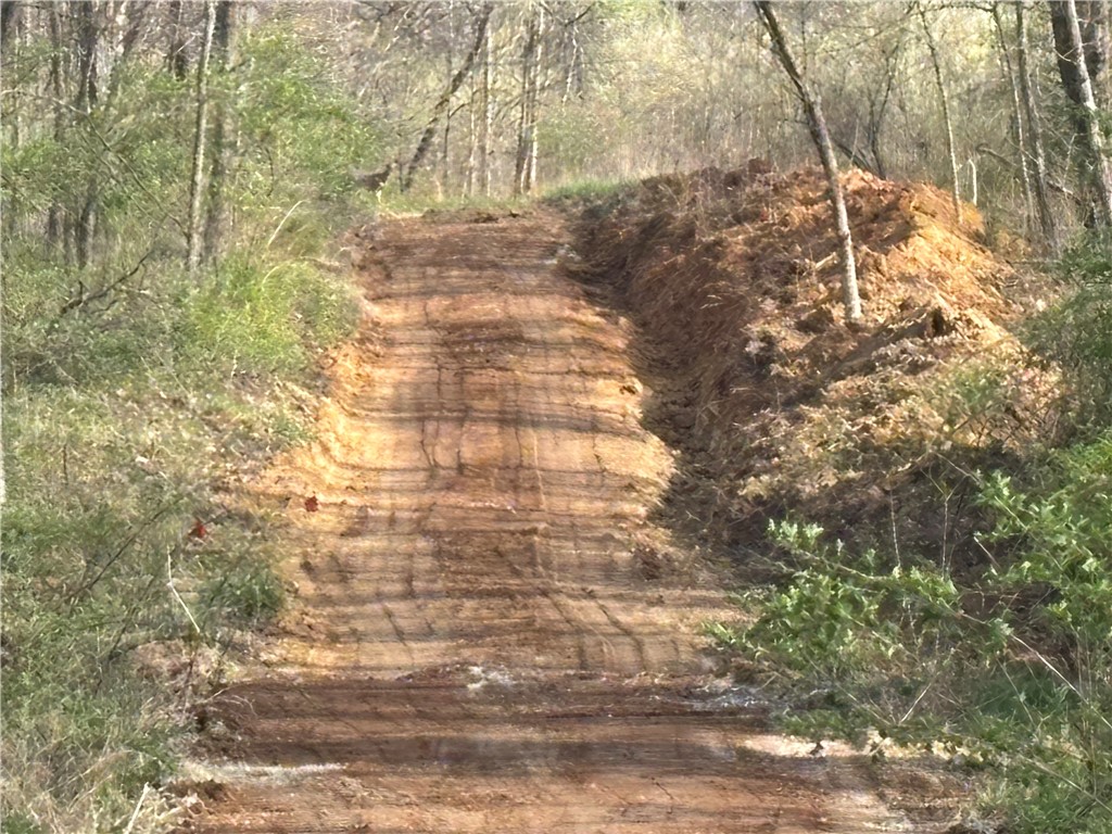 Applegate Road Bridgeport, IL 62417 - Photo 15 of 17