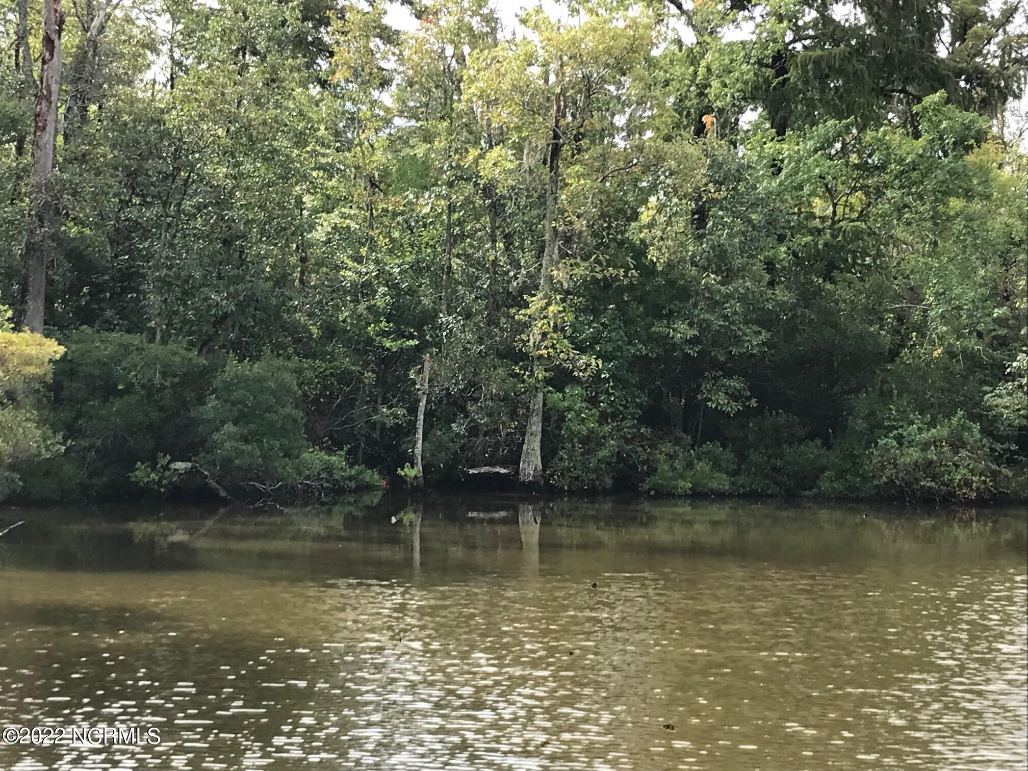 212 Colleton Edenton, NC 27932 - Photo 12 of 13 Lot Waterfront