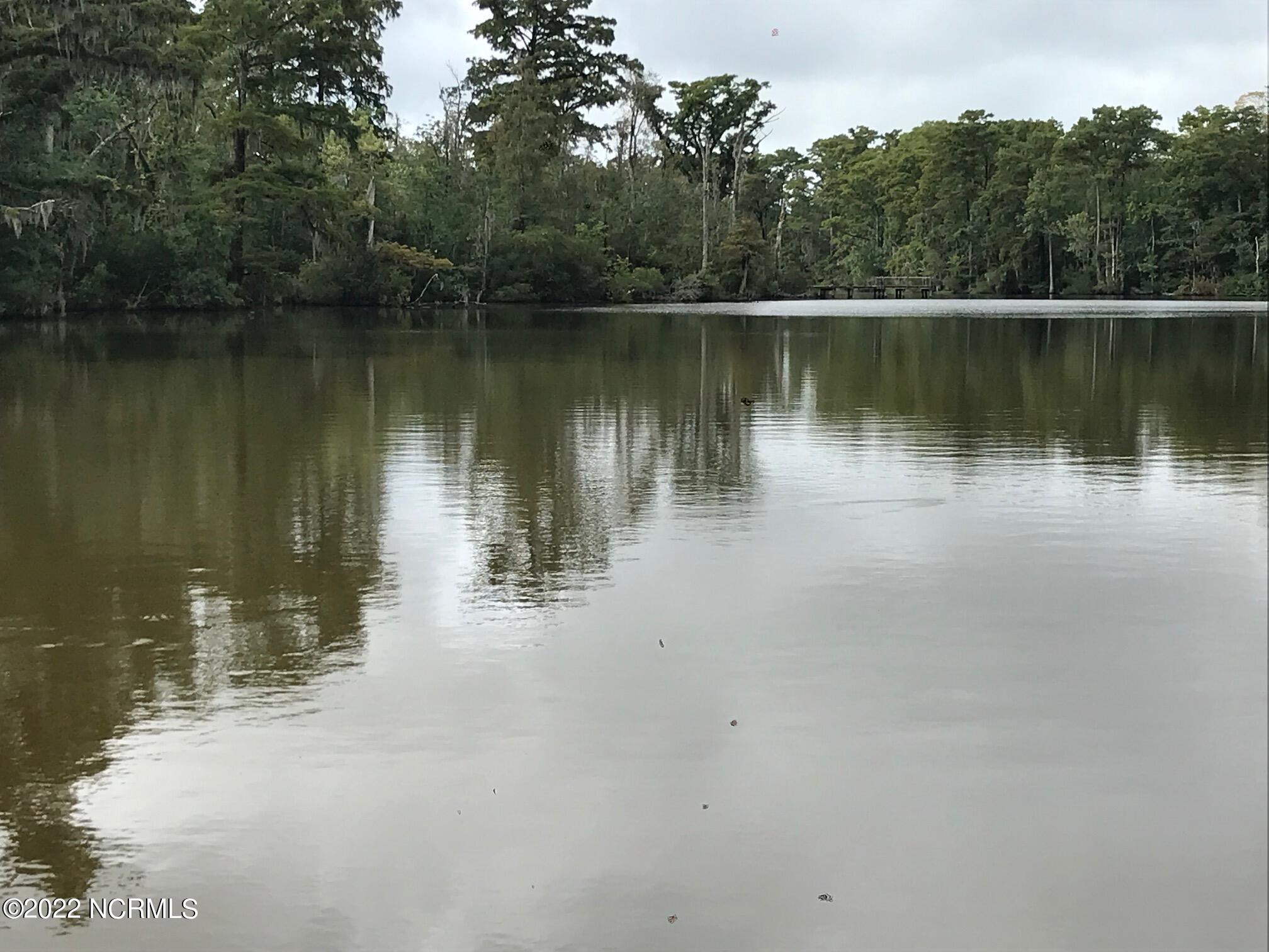 212 Colleton Edenton, NC 27932 - Photo 6 of 13 Middleton Creek