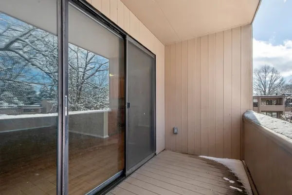 a view of a forest filled with trees