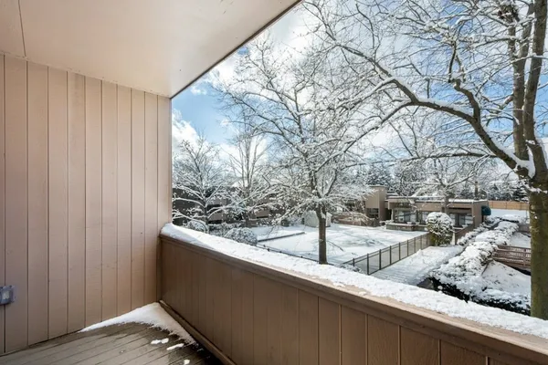 a view of a yard with trees